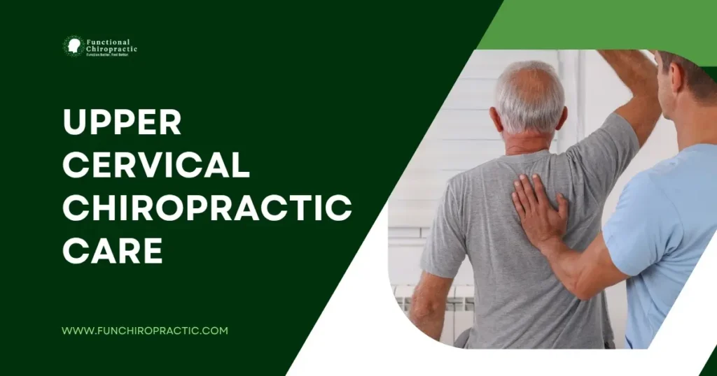 Upper Cervical Chiropractic Care: The Professional Guide